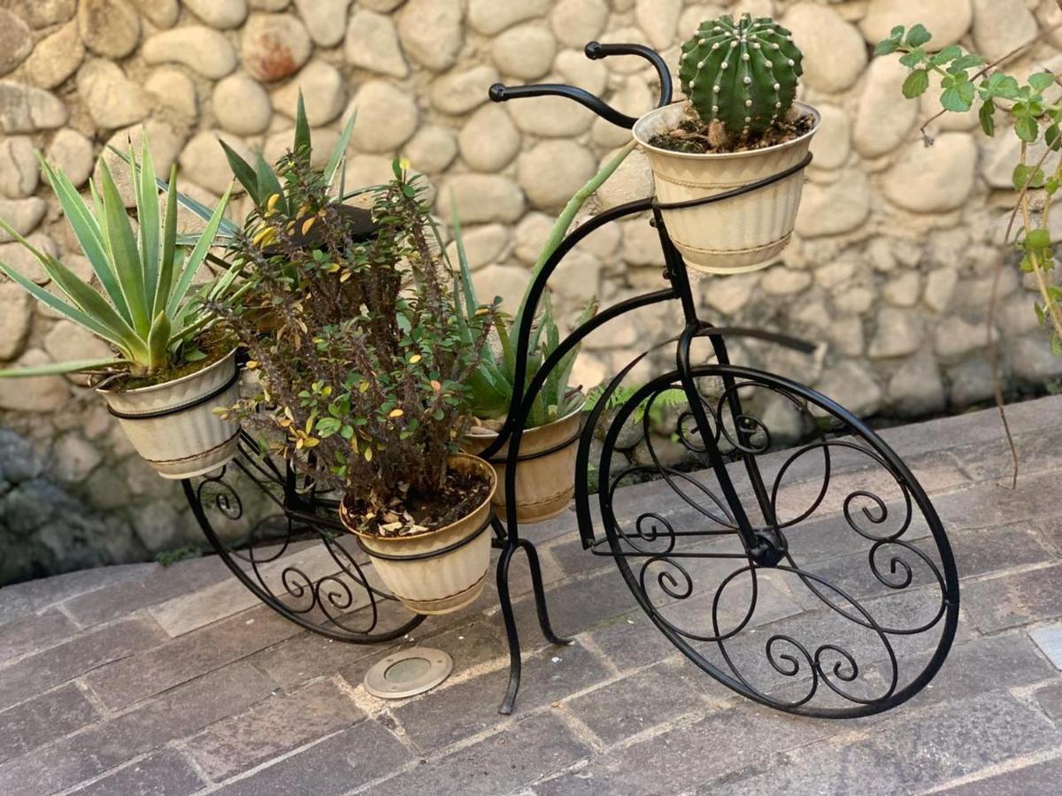 Casa Tia Anita, Hotel Boutique Маскота Екстериор снимка